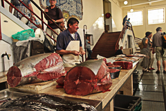 Funchal, le marché aux poisson