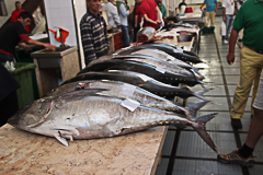 Funchal, le marché aux poisson