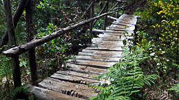 Un pont en bois